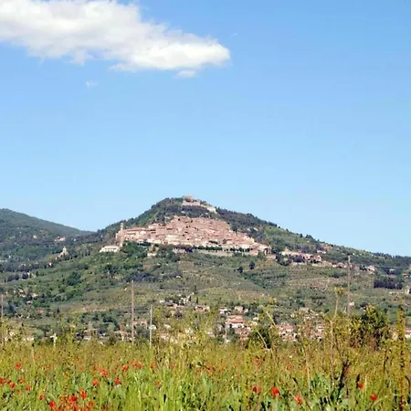 In Tuscany With Pool And Hill Views * 哥尔顿